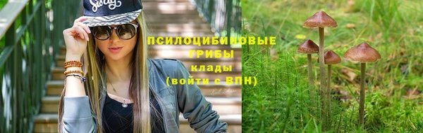 героин Богданович