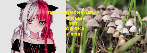 соль ск Белоозёрский