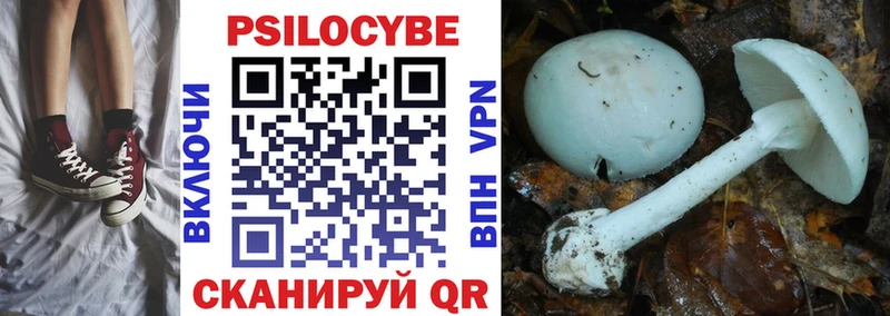 продажа наркотиков  Малоярославец  Псилоцибиновые грибы GOLDEN TEACHER 
